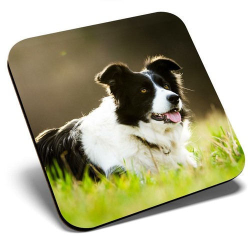 Square single coaster - single,