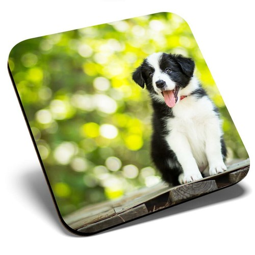 Square single coaster black - coaster,