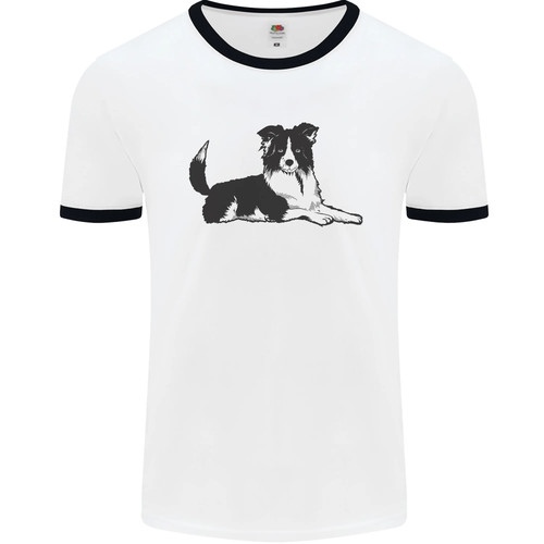 Border collie dog lying down - border,