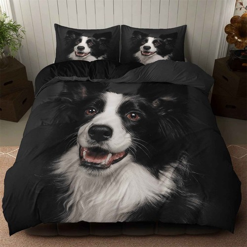 Cute border collie - border,