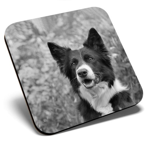 Square single coaster - single,