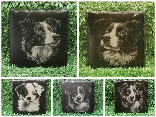 Engraved collie dog - engraved,