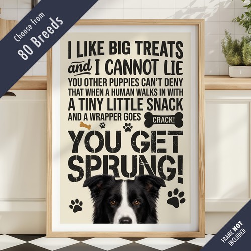 Funny dog treats - lyric, quote