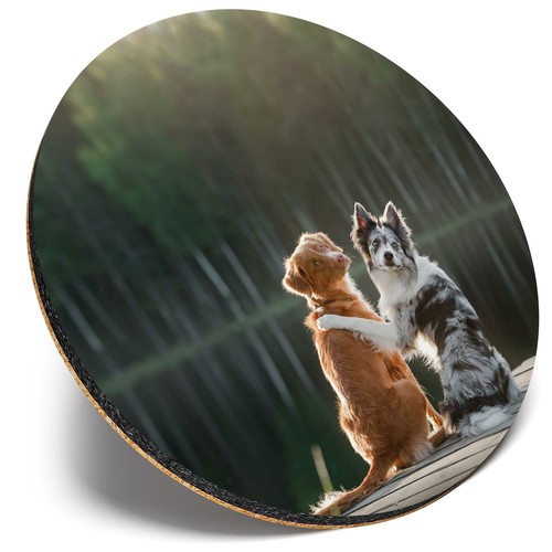 Round single coaster - round,