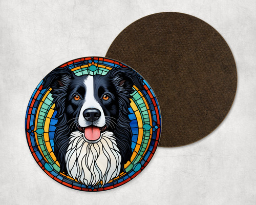 Beautiful border collie - collie, dog