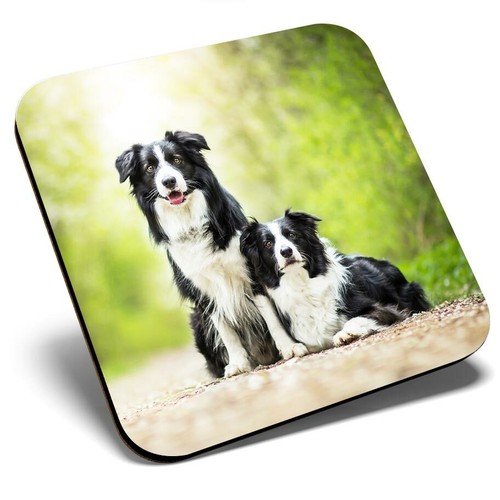 Square single coaster - coaster, border