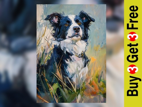 Border collie portrait - portrait, print