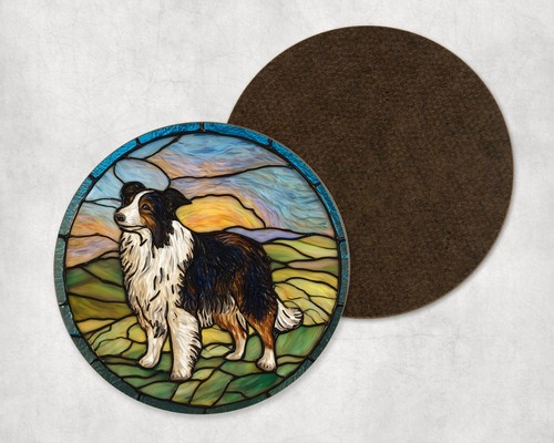 Border collie dog - dog, field