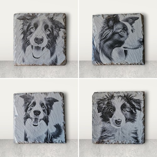 Border collie slate coaster - border,