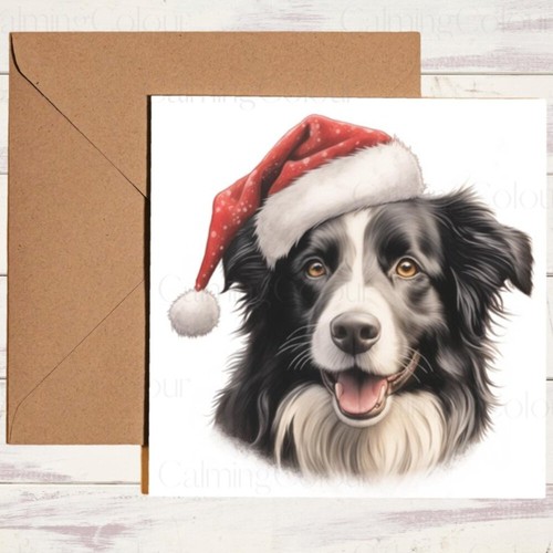 Border collie festive santa - collie,
