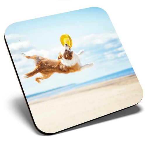 Square single coaster border - single,