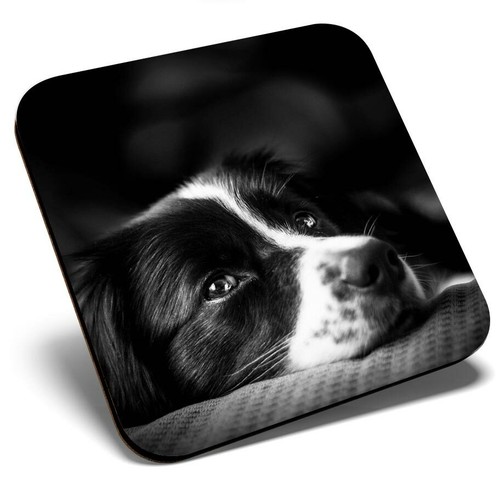 Square single coaster border - coaster,