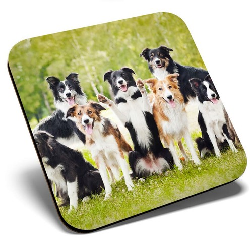 Square single coaster border - -,