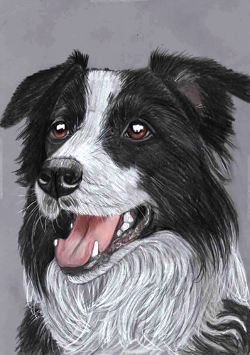 Original colour pencil artwork