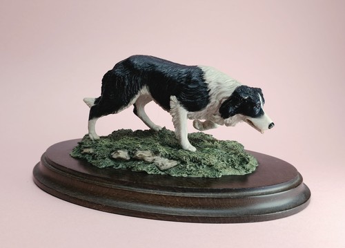 Country artist border collie - country,