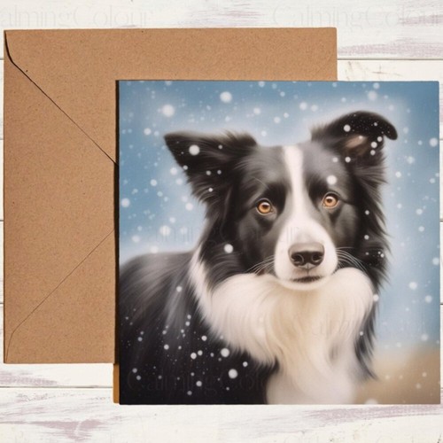 Border collie christmas card - border,
