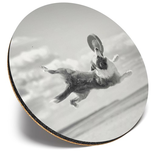 Round single coaster bw - ,