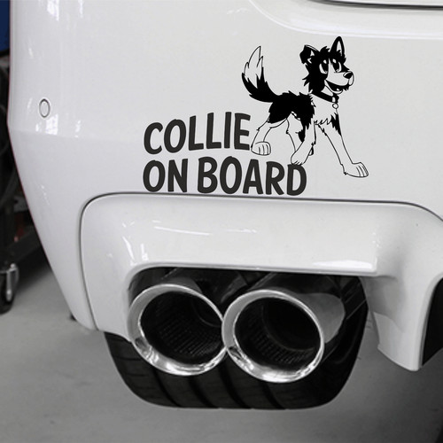 English border collie car - border,