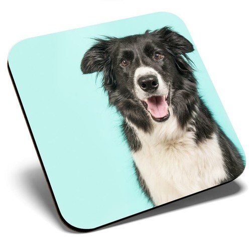 Square single coaster border - square,