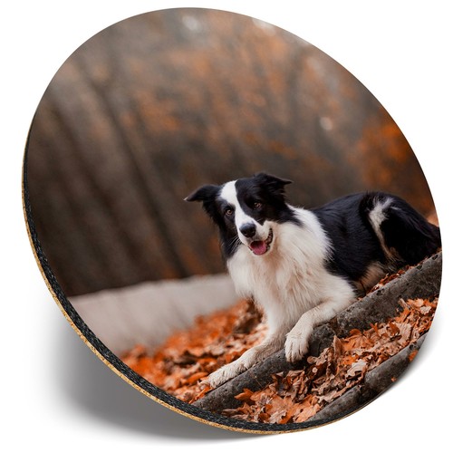 Round single coaster autumn - single,