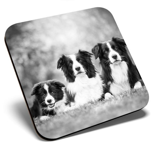 Square single coaster - square,
