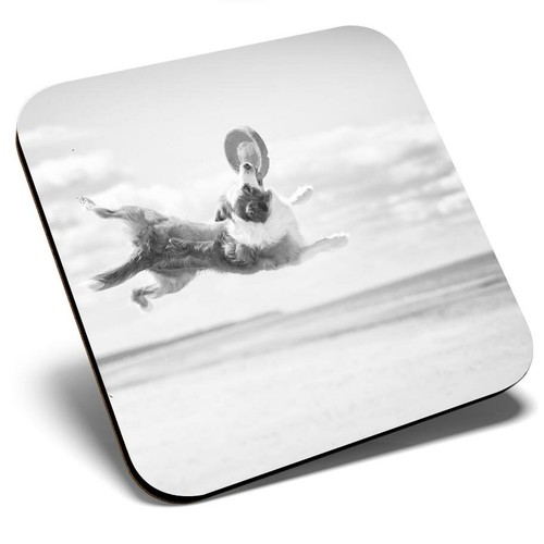 Square single coaster - square,
