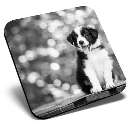 Square single coaster - coaster, bw