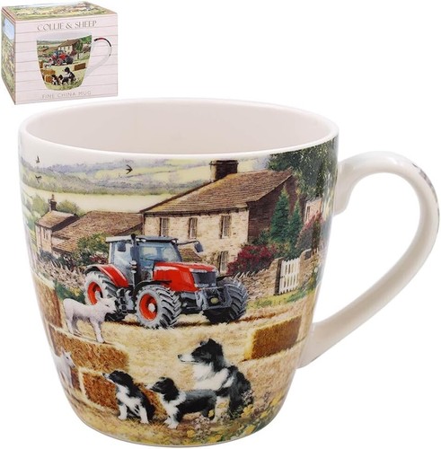 Set border collie - of, 2