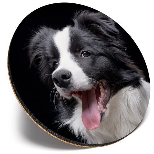 Round single coaster border - ,