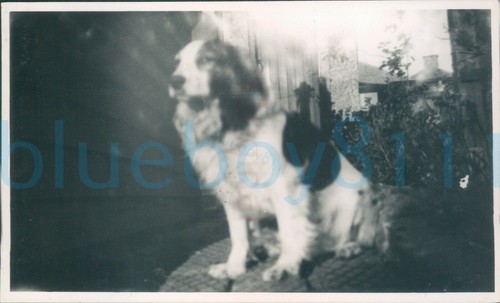 1948 orig photo family - 1948,