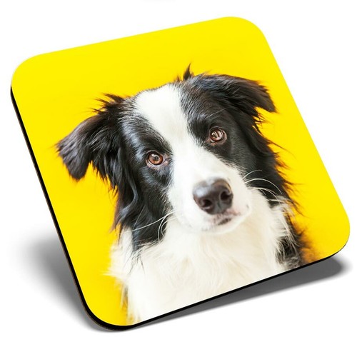Square single coaster - single,
