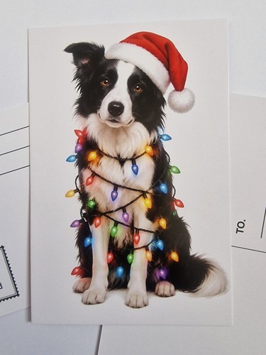 Border collie christmas - border,