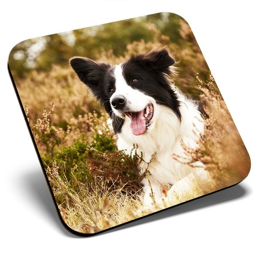 Square single coaster - single,
