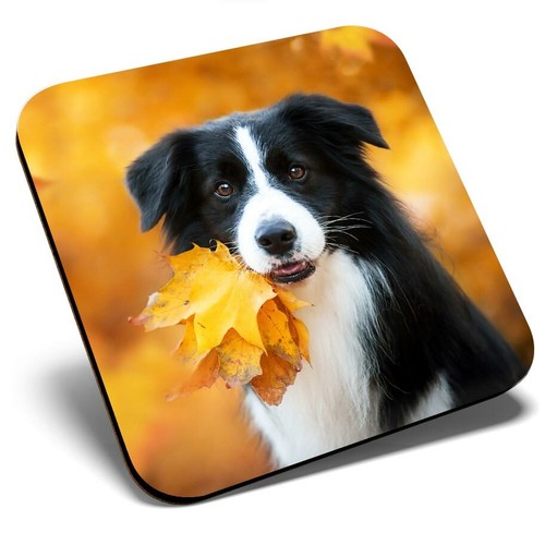 Square single coaster - square,
