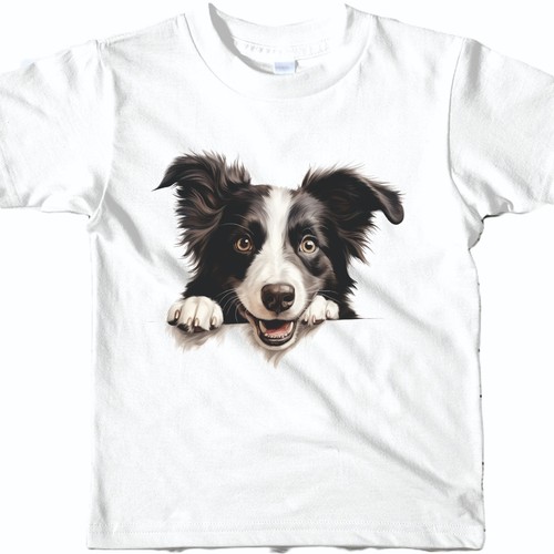Border collie dog - collie,