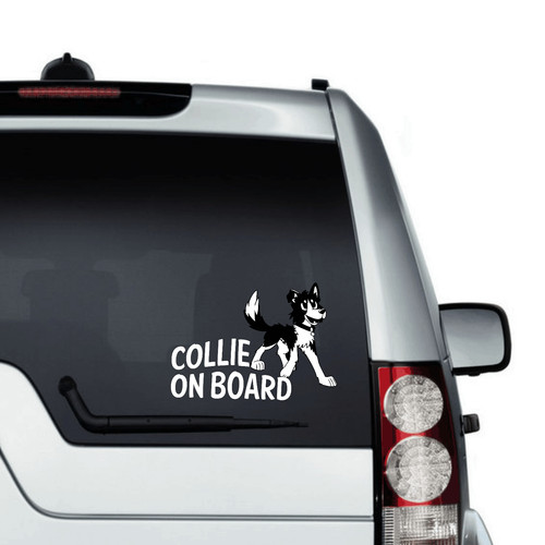 English border collie car - collie,
