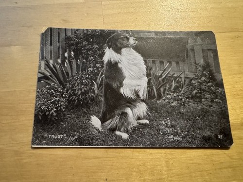 Postcard trust possibly a - postcard,