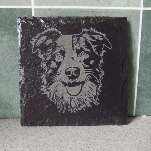 New engraved border collie - engraved, 'border