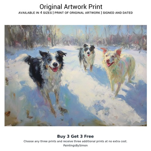 Border collie dogs print - collie,