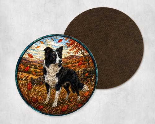 Border collie dog autumn - border,