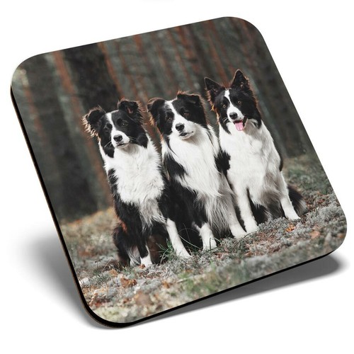 Square single coaster border - single,