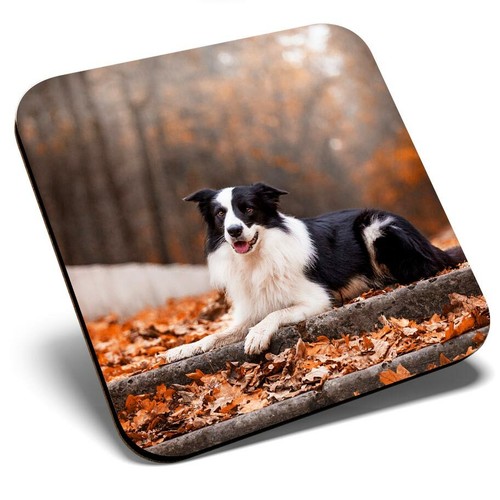 Square single coaster - single,
