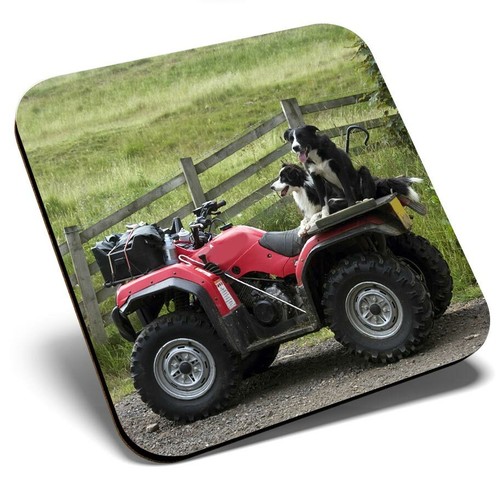 Square single coaster border - square,