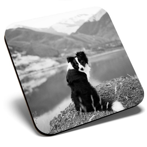 Square single coaster - single,