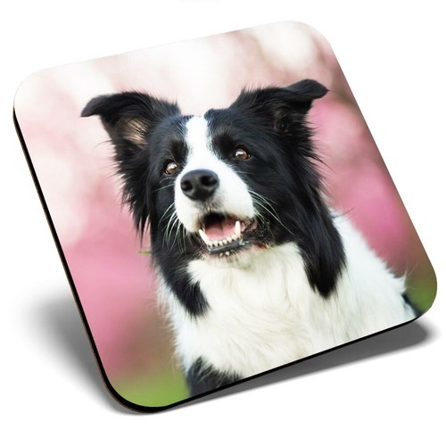 Square single coaster - -, black