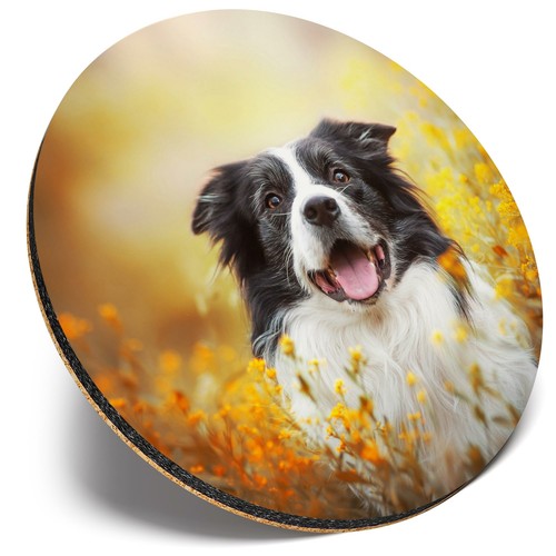 Round single coaster old - ,