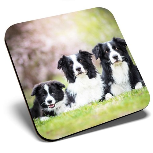 Square single coaster border - coaster,